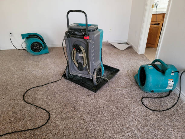 Best Carpet water damage restoration  in Nashua, NH