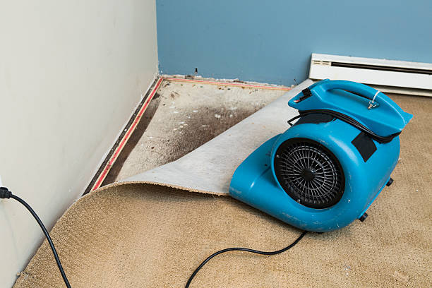 Best Water damage restoration near me  in Nashua, NH